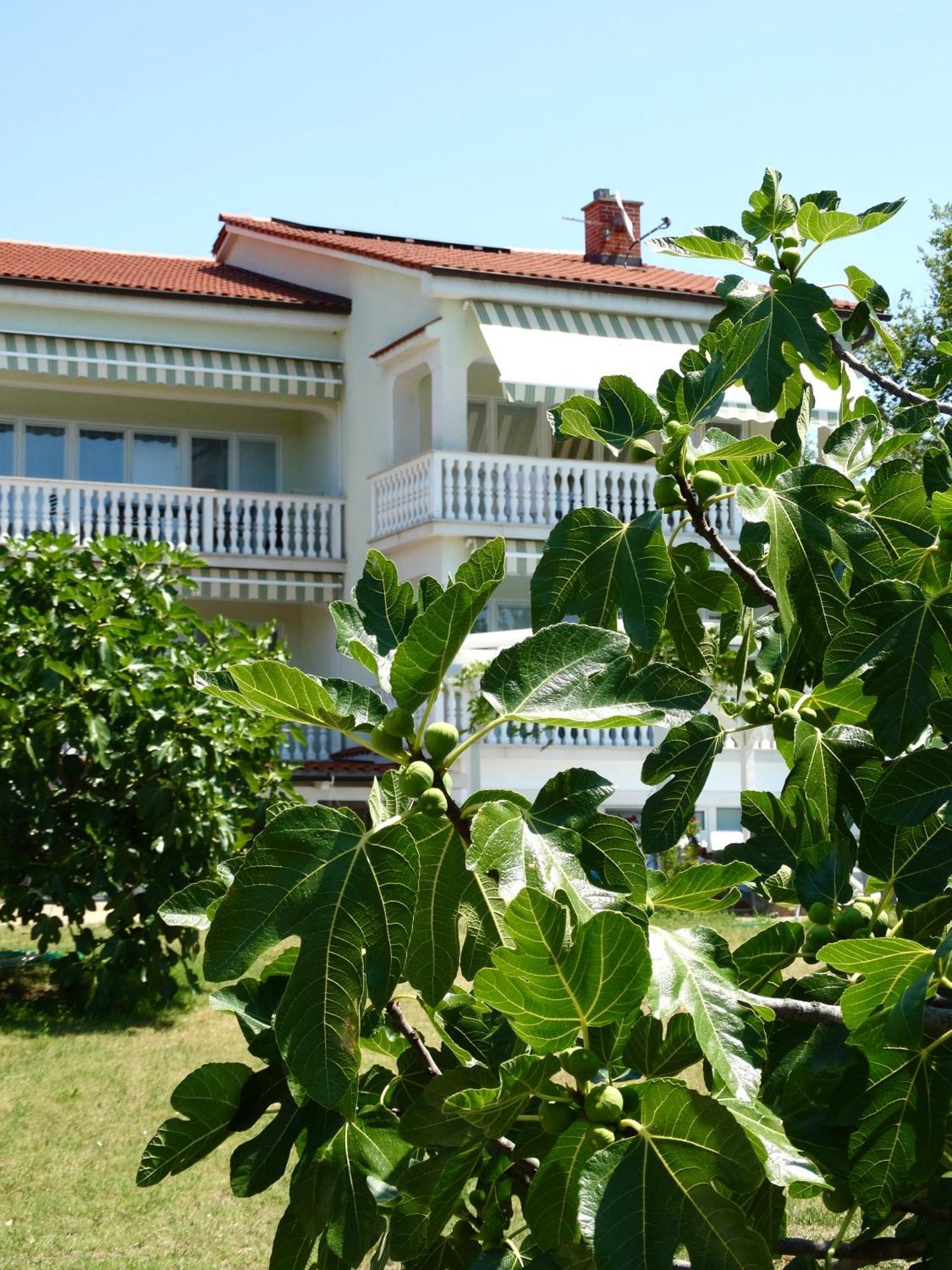 Apartments Gorancica Malinska Esterno foto